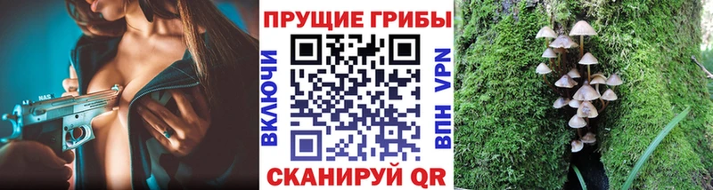 Галлюциногенные грибы Cubensis  Опочка 
