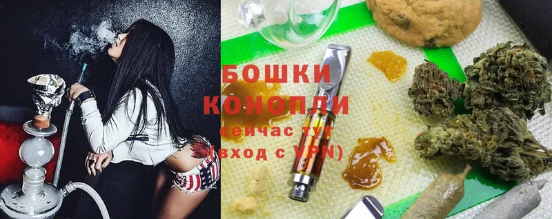 Бошки Шишки SATIVA & INDICA  купить наркоту  Опочка 